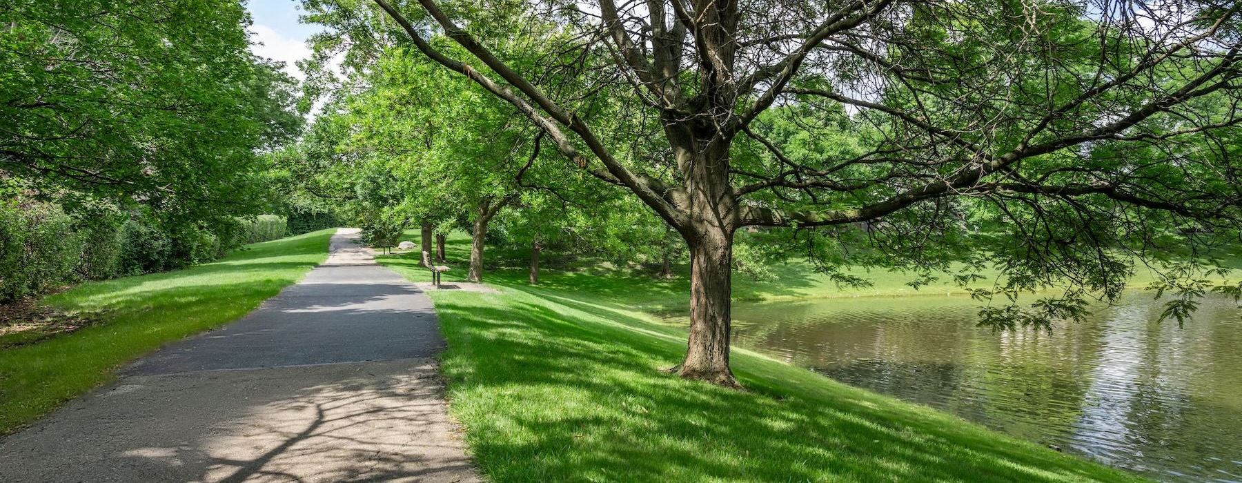 a path next to a body of water with trees on the side
